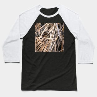 Marsh Wren in the Dry Reeds Baseball T-Shirt